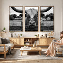 Black White Texas Longhorn Bull Canvas Wall Art, Western Ranch Cattle Photography Print, Rustic Farmhouse Cowboy Decor Artwork