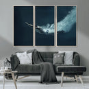 Swimmer Wall Art Canvas Print