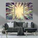Tree and Sunshine Canvas Print
