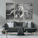 King Forest Lion Wall Art Canvas Print – Framed Majestic by MyGreatCanvas | Canvas Wall Art Prints | Photo Prints & Wall Decor