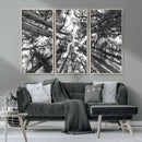 Trees Contemporary Art Canvas Print by MyGreatCanvas | Canvas Wall Art Prints | Photo Prints & Wall Decor