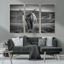 Fluffy Cattle Wall Art Print, Highland Cow Canvas, Framed by MyGreatCanvas | Canvas Wall Art Prints | Photo Prints & Wall Decor
