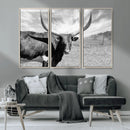 Longhorn Wall Art Canvas Print, Framed Ranch Wall Art Canvas by MyGreatCanvas | Canvas Wall Art Prints | Photo Prints & Wall Decor