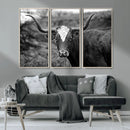 Western Home Wall Art Canvas Print, Framed Texas Longhorn by MyGreatCanvas | Canvas Wall Art Prints | Photo Prints & Wall Decor