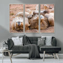 Lion Pair Wall Art Canvas Print – Framed Wildlife Scene with