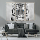 Black and White Tiger Wall Art Animal Canvas Print