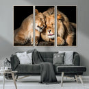 Lion and Lioness Wall Art Canvas Print – Framed African