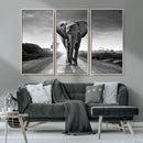 Black and White Elephant Wall Art Canvas Print