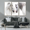 White Horse Wall Art Animal Canvas Print by MyGreatCanvas | Canvas Wall Art Prints | Photo Prints & Wall Decor