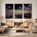 Washington-Grizzly Stadium Canvas Print, American Football