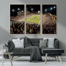 Washington-Grizzly Stadium Canvas Wall Art – Exciting Game