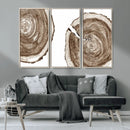 Wood Tree Ring Wall Art Canvas Prints, Tree Rings –