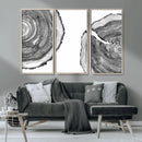 Abstract Large Tree Rings – Minimalist Black and White Wood