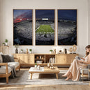 Penn State University Nittany Lions Football Team Print -