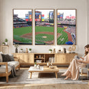 New York Mets Baseball Team Print - Citi Field Baseball