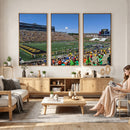 University of Missouri Tigers Football Team Print - Columbia