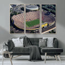 Michigan Wolverines Football Team Print - Ann Arbor Michigan