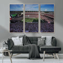 South Carolina Gamecocks Football Team Print - Columbia