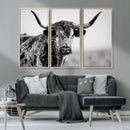 Texas Highland Cow Longhorn Canvas Print - Rustic Farmhouse by MyGreatCanvas | Canvas Wall Art Prints | Photo Prints & Wall Decor