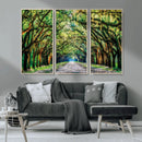 Serene Tree Tunnel Wall Art Canvas Print – Pathway Under by MyGreatCanvas | Canvas Wall Art Prints | Photo Prints & Wall Decor