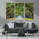 Wormsloe State Plantation Driveway Wall Art Canvas Print by MyGreatCanvas | Canvas Wall Art Prints | Photo Prints & Wall Decor