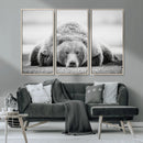 Resting Grizzly Bear Wall Art Canvas Print – Majestic Lazy by MyGreatCanvas | Canvas Wall Art Prints | Photo Prints & Wall Decor