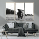 Black and White Highland Cow Wall Art Canvas Print | Rustic