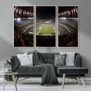 Eagles Field Stadium Wall Art - Philadelphia Eagles Football
