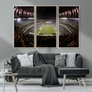 Eagles Field Stadium Wall Art - Philadelphia Eagles Football