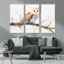 Barn Owl Wall Art on Branch | Stunning Canvas Print for