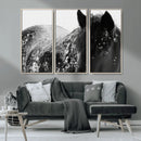 Black Horse in Snow Canvas Print | Winter Horse Wall Art |