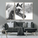 Black Horse Winter Wall Art | Ready to Hang and Framed |