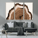 Rustic Wood Rings Wall Art | Nature-Inspired Tree Ring