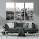 Scottish Highland Cow Wall Art | Black and White Canvas