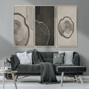 Minimalist Tree Rings Wall Art | Modern Abstract Canvas