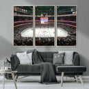 Honda Center California Anaheim Ducks Ice Hockey Stadium