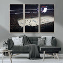 Honda Center California Anaheim Ducks Hockey Stadium Wall