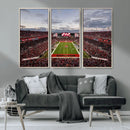 Florida Tampa Raymond James Stadium Wall Art Canvas Print -