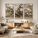 Sepia Framed Angel Oak Tree Wall Art - 3-Panel Canvas