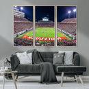 NC State Wolfpack Canvas Print - Raleigh Carter-Finley