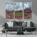 NC State Wolfpack Football Team Print Canvas- Raleigh