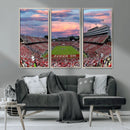 Carter-Finley Stadium Art Sunset Game Triple Canvas Wall Art