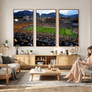 Colorado Buffaloes Canvas Print - Boulder Folsom Field