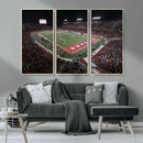 Houston Cougars Football Team Print - Houston TDECU Stadium