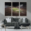 Wisconsin Badgers Football Team Print - Madison Camp Randall
