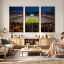 Pittsburgh Panthers Football Team Print - Pittsburgh