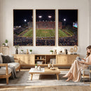 Demon Deacons Print Canvas, Football Team Print -