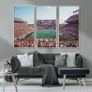 Framed Texas Memorial Stadium Canvas, University of Texas