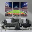 Wolfpack Football Team Print - Raleigh Carter-Finley Stadium