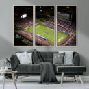 Florida Atlantic University Owls Canvas Print, Football Team by MyGreatCanvas | Canvas Wall Art Prints | Photo Prints & Wall Decor